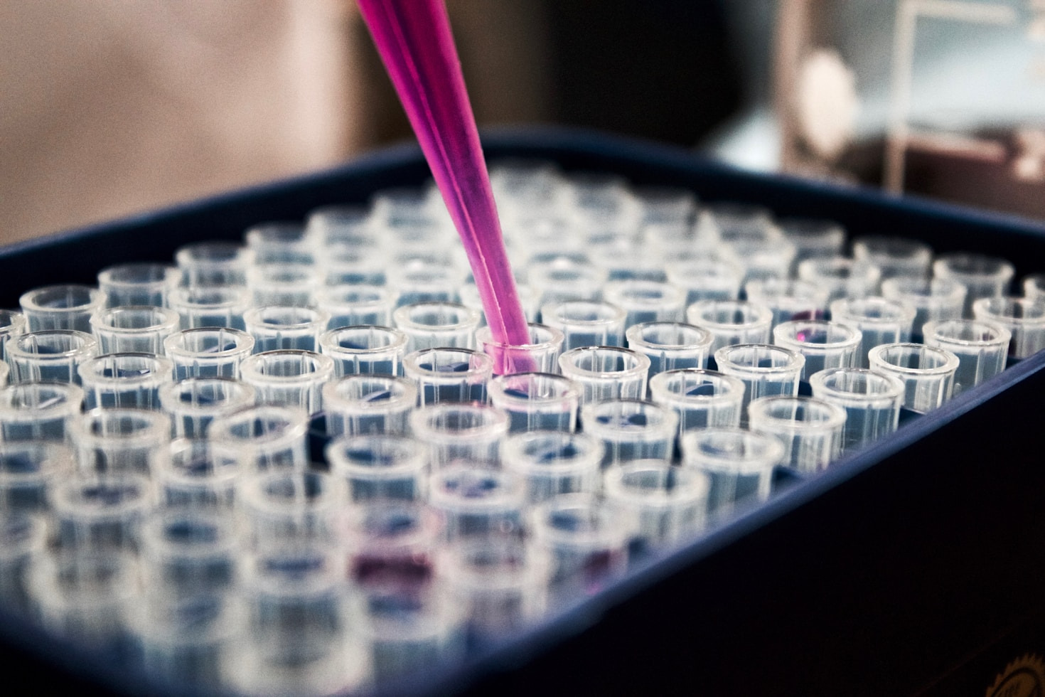 The Future Of Applied Genetics In Modern Agriculture